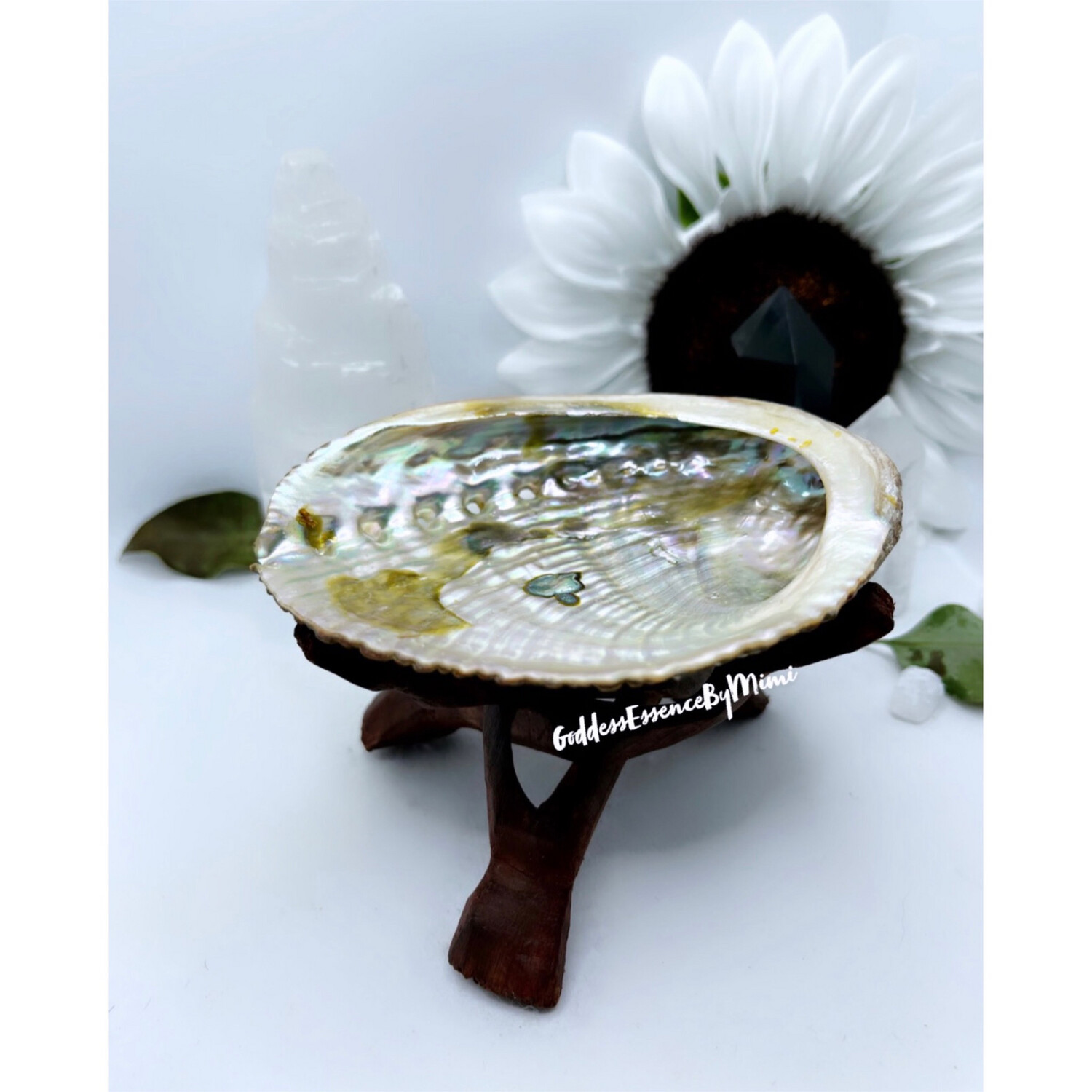 Abalone shell & stand