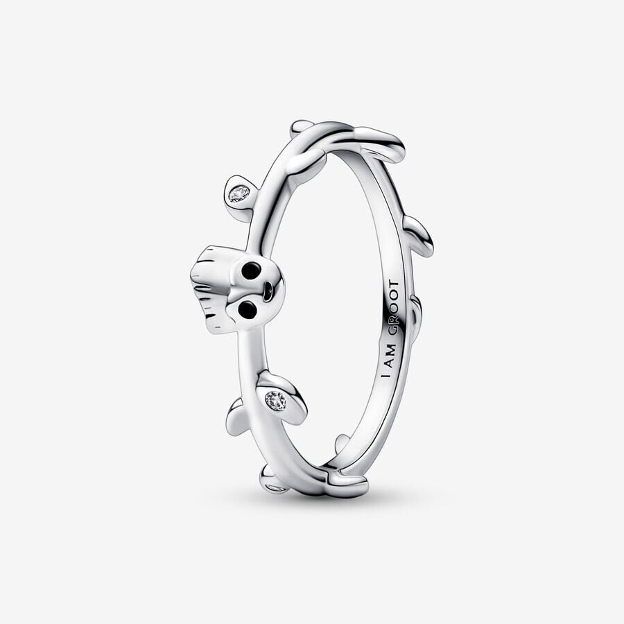 Groot Ring