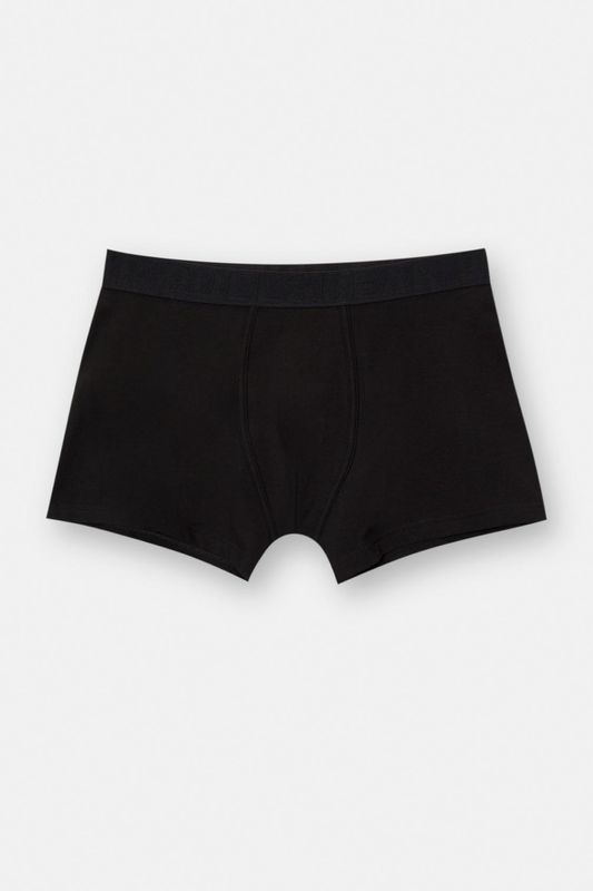 PULLANDBEAR