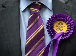 UK Independence Party Official Tie