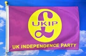 UKIP Flag (Small)