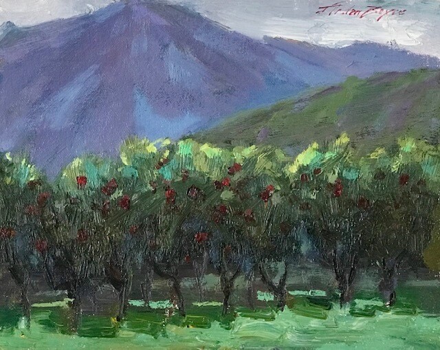 8x10