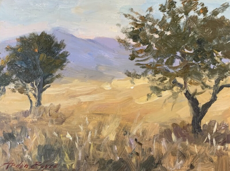 9x12