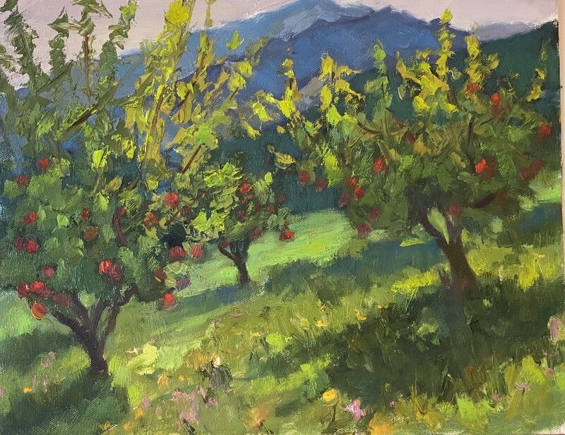 11x14