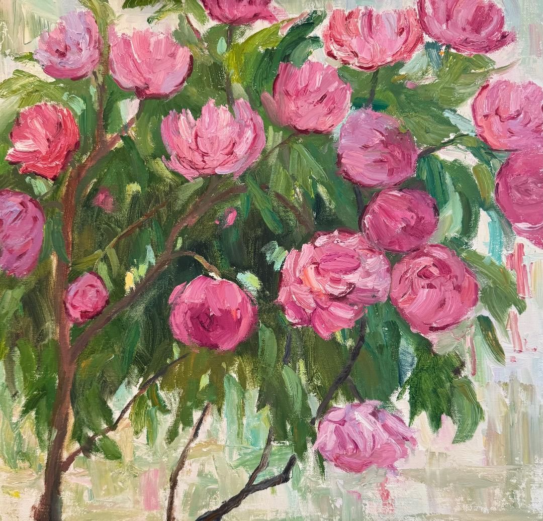 20x20