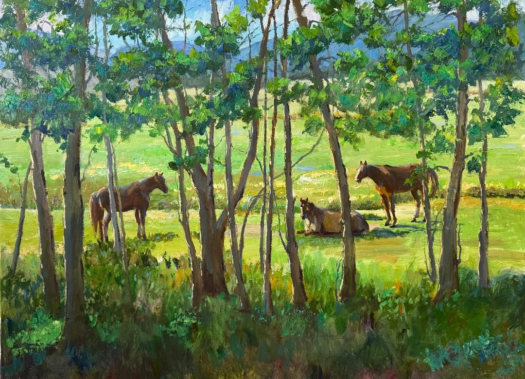 30x40