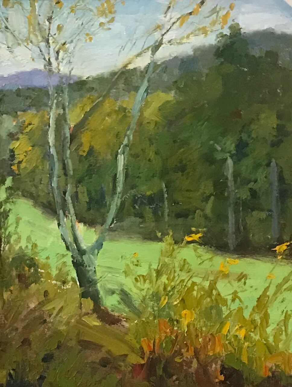 14x11