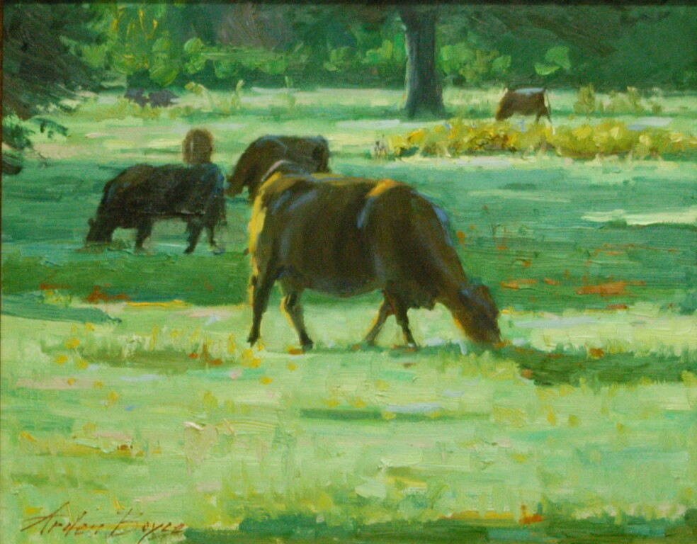 16x20