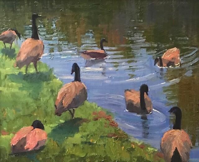 20x24