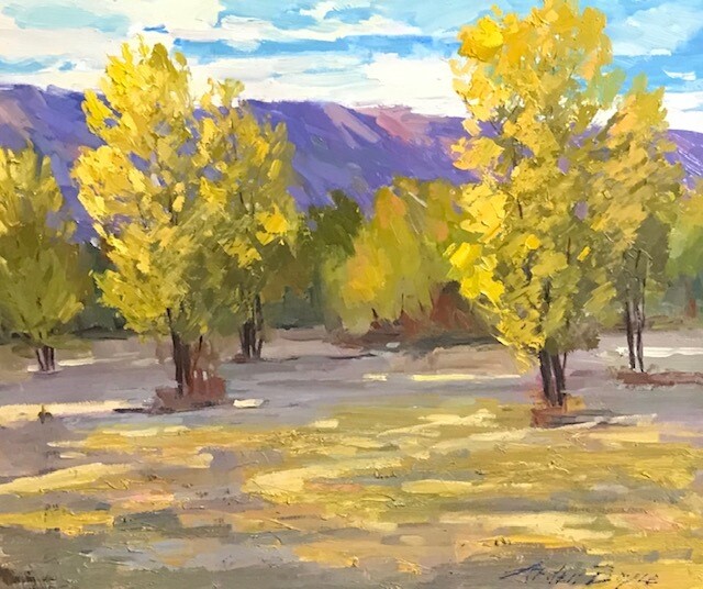 20x24