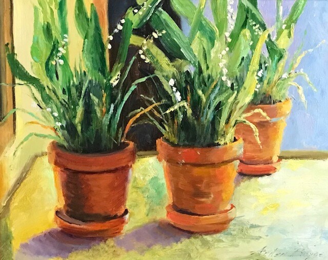 16x20