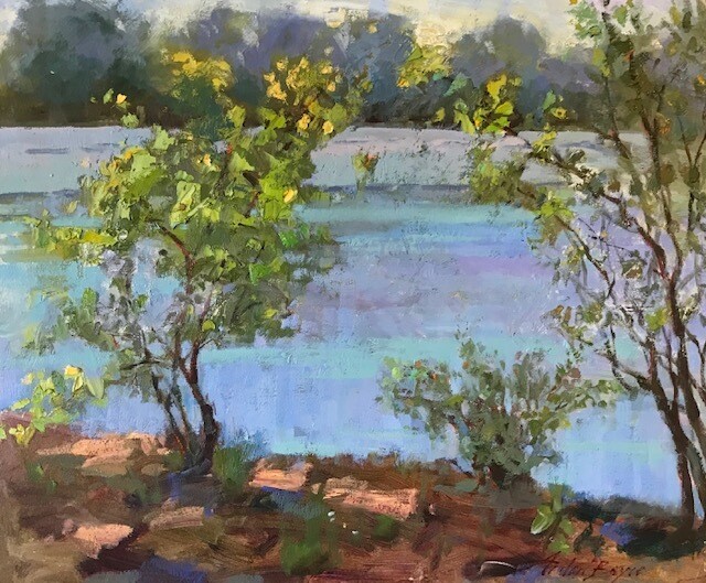 20x24
