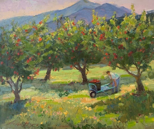 20x24