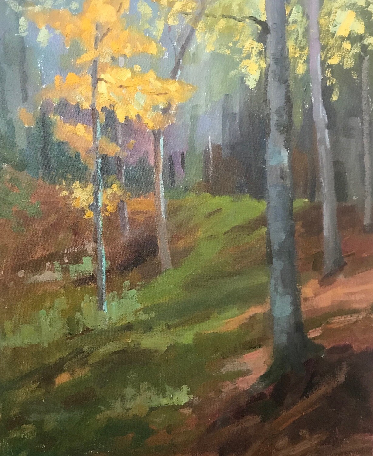 24x20