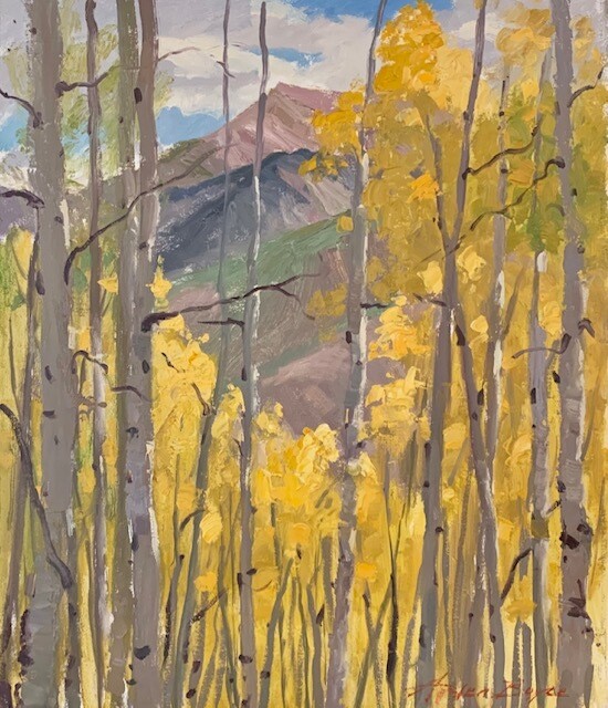 24x20