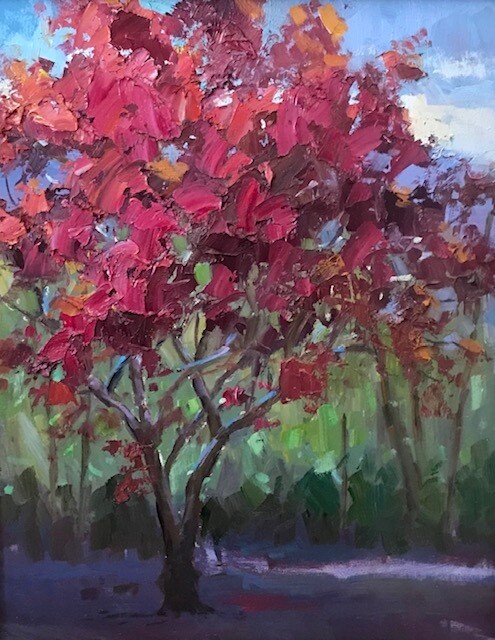 20x16