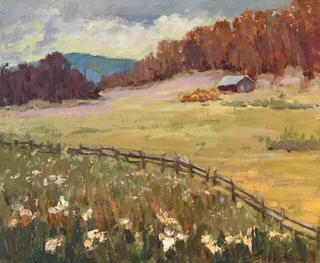 20x24