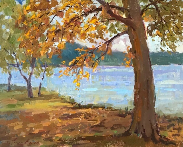 16x20
