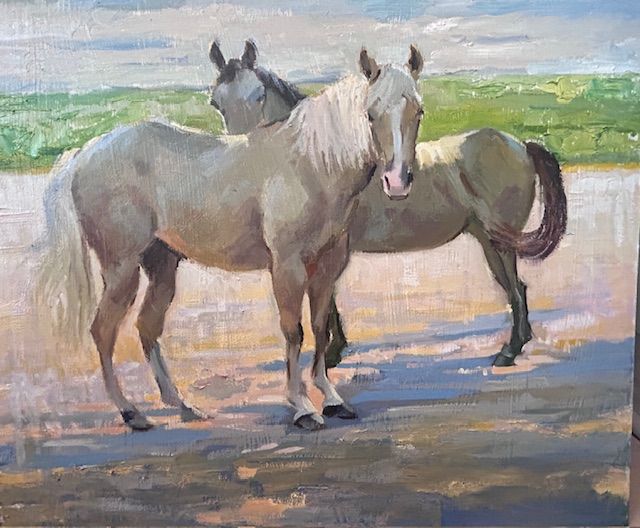 20x24