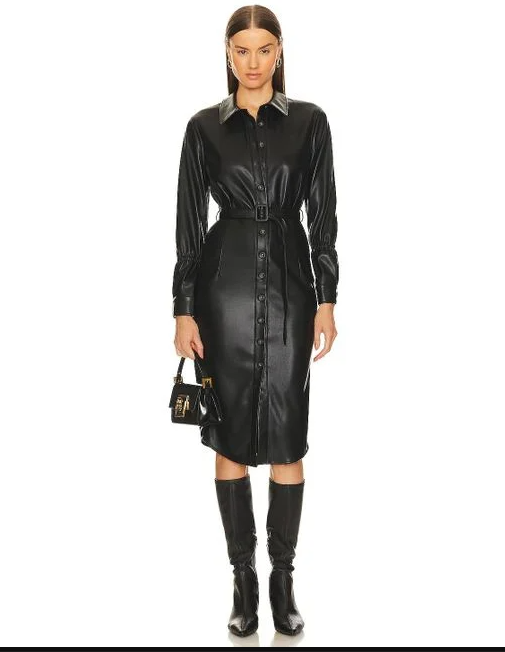 Laguna Faux Leather Dress
