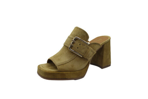 A:LPE 2567 Serape