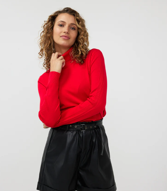 Ribbed turtleneck