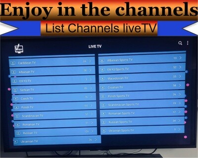Arabic tvbox Subscription 1-year Arabic -USA -global جهاز القنوات العربية