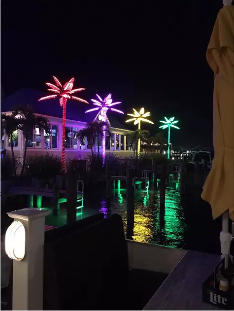 Led palm tree outside high 15ft