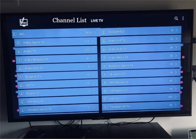 only Subscription 1 year  Arabic - USA - global channels with test 48 HRS