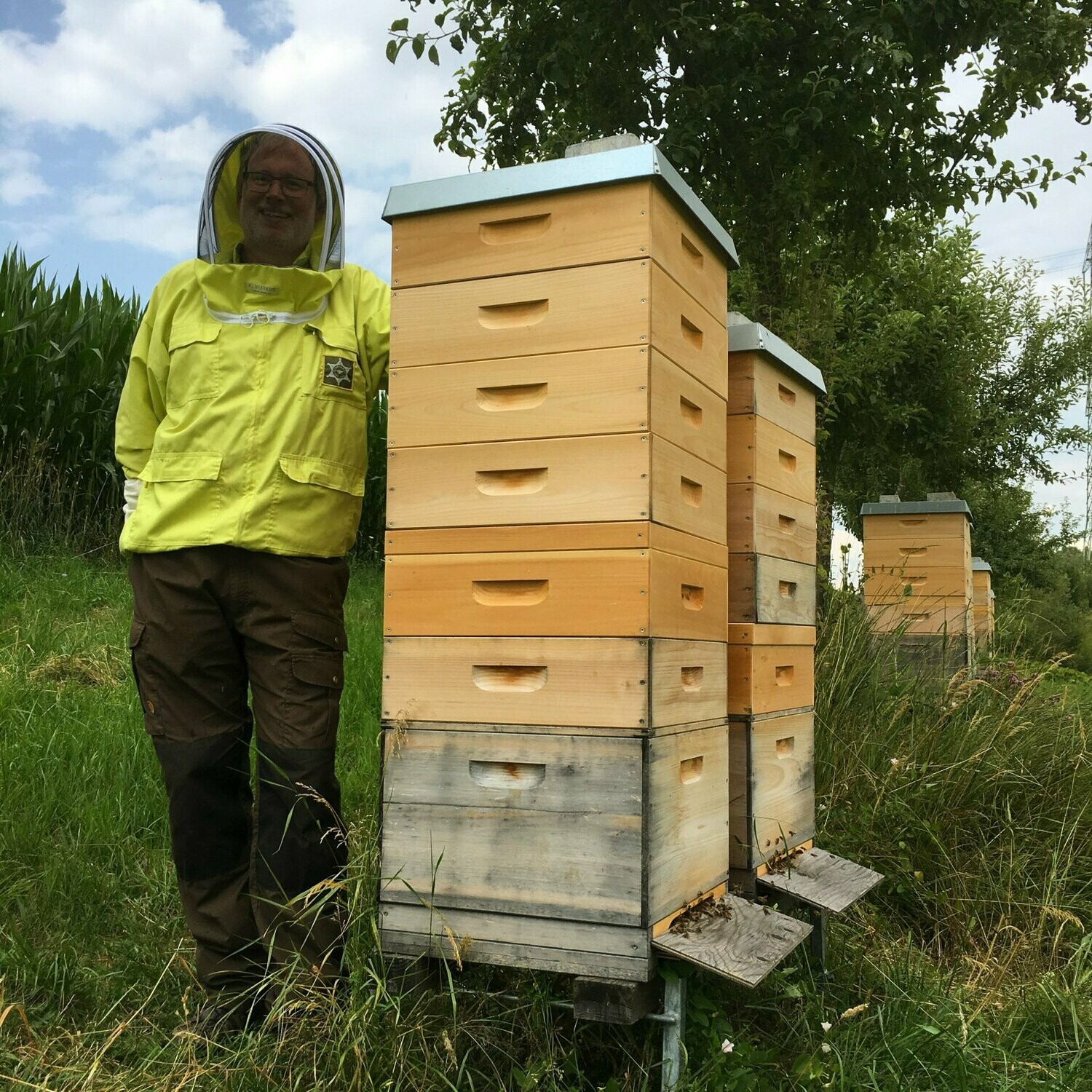 Buckfast-Wirtschaftsvölker mit F1-Buckfastköniginnen, 2025.