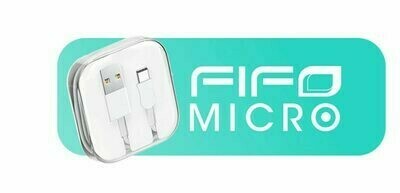 MICRO WS