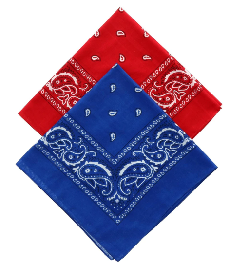 B249 INDIVIDUALLY FOLDED AND PACKAGED BANDANAS