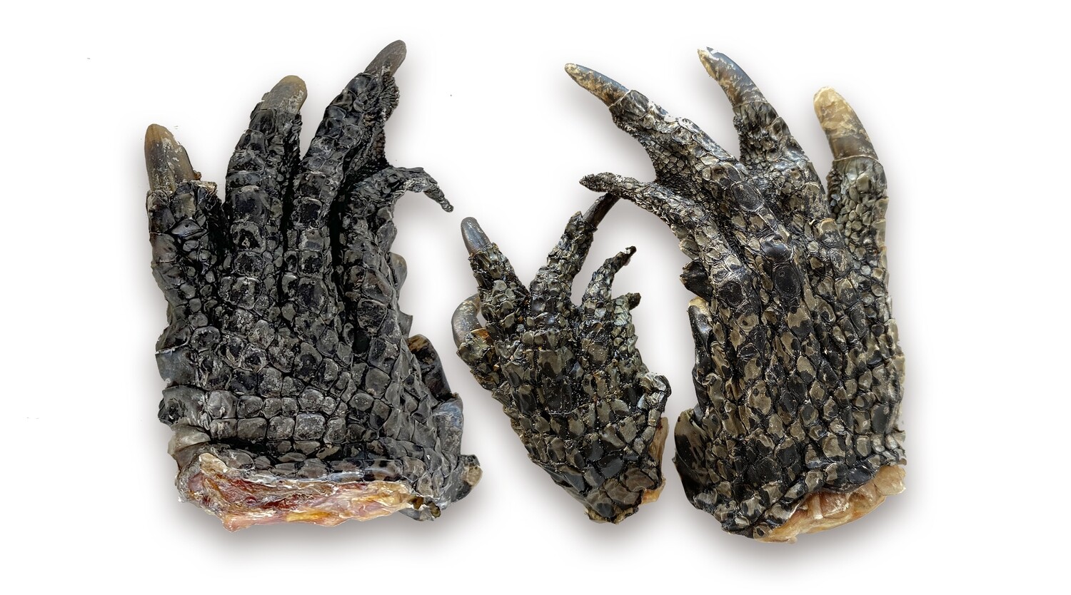 CROC FEET - 3 PACK