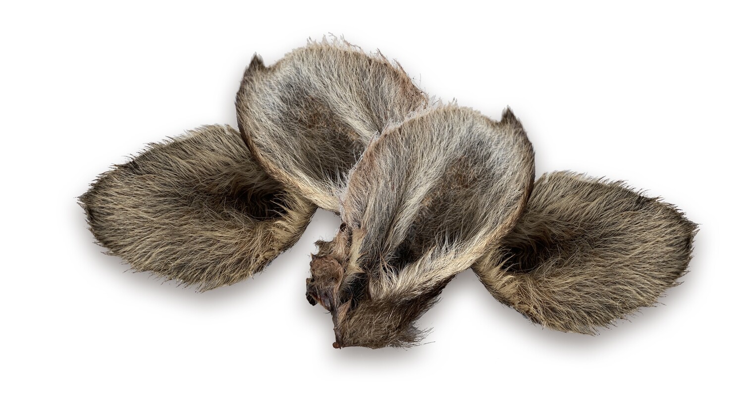 FURRY KANGA EARS