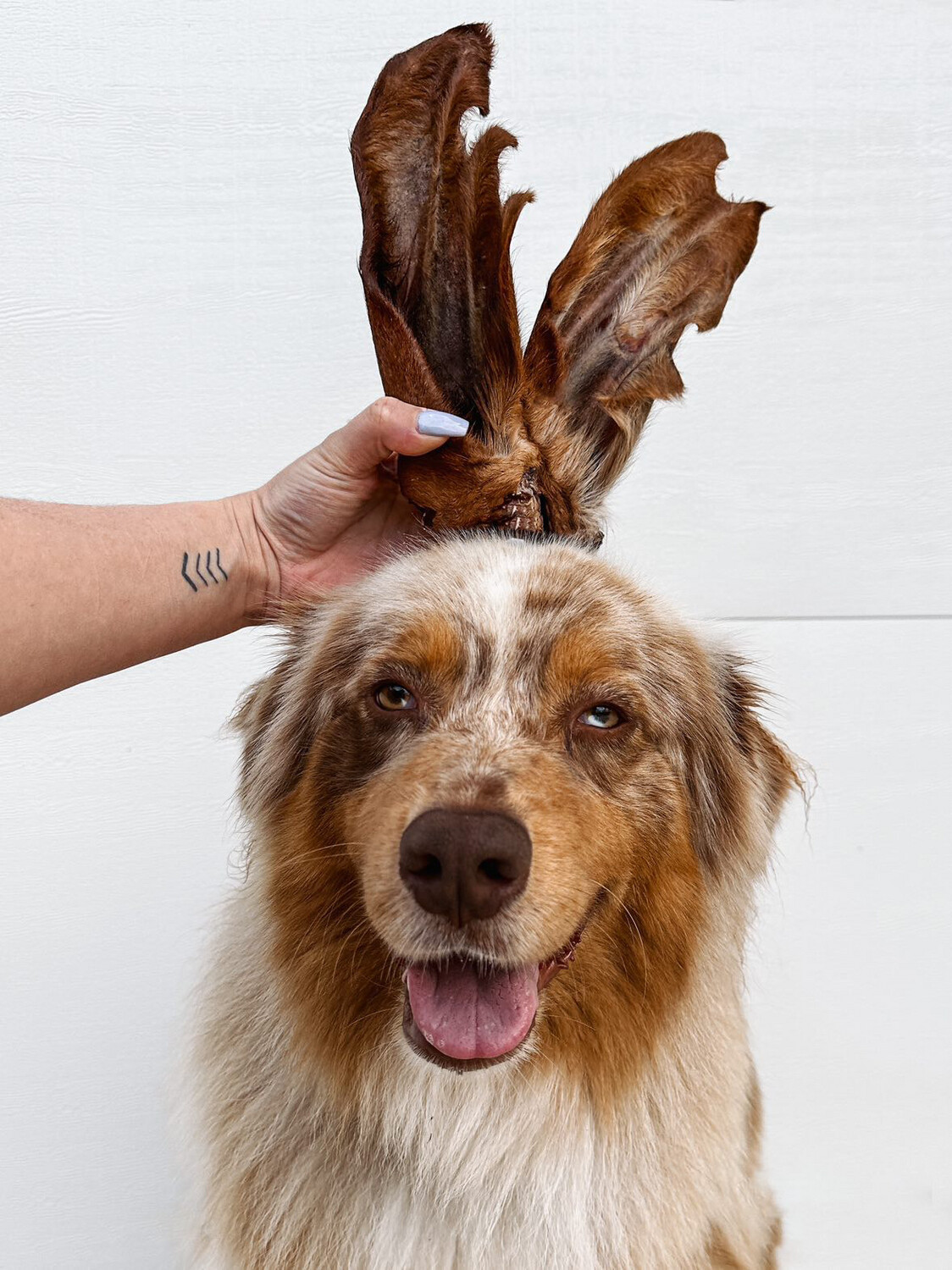 FURRY MOO EARS