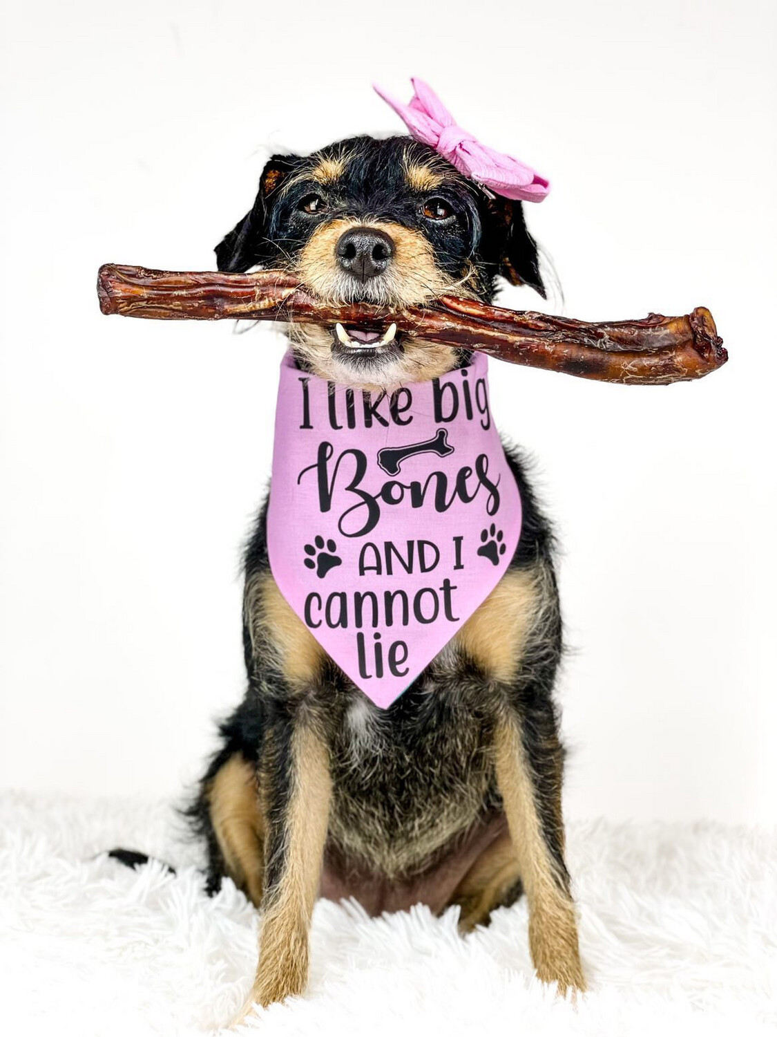 JUMBO BULLY STICK