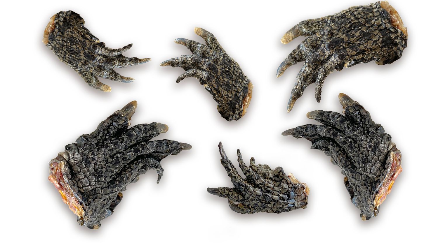 LITTLE MOUTHS CROC PAWS - 6 PACK