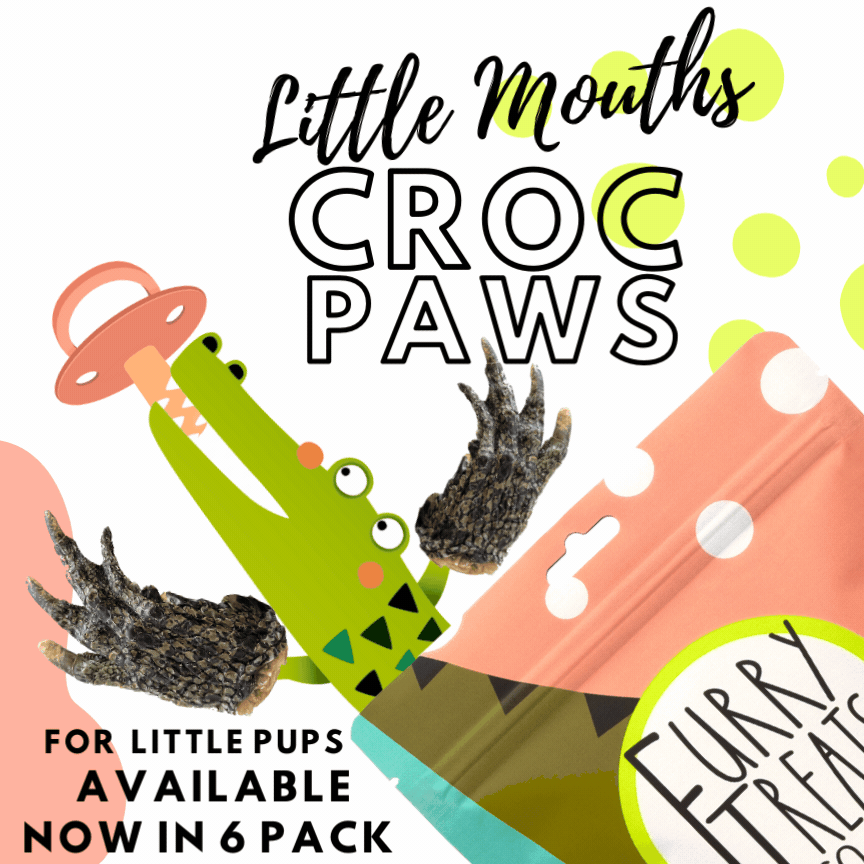 LITTLE MOUTHS CROC PAWS - 6 PACK
