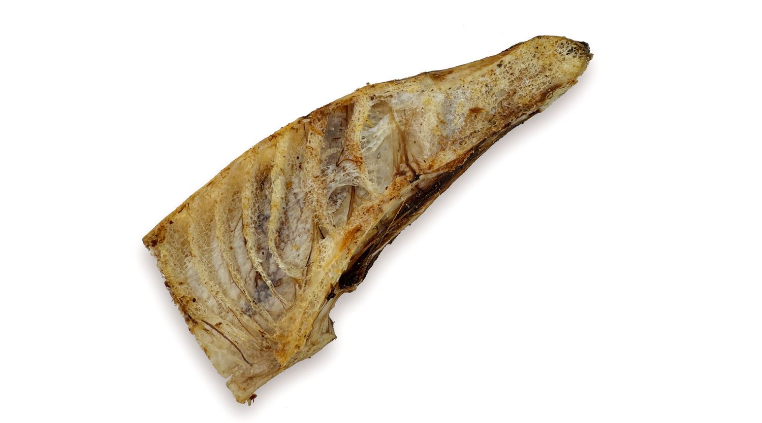 EMU PELVIS