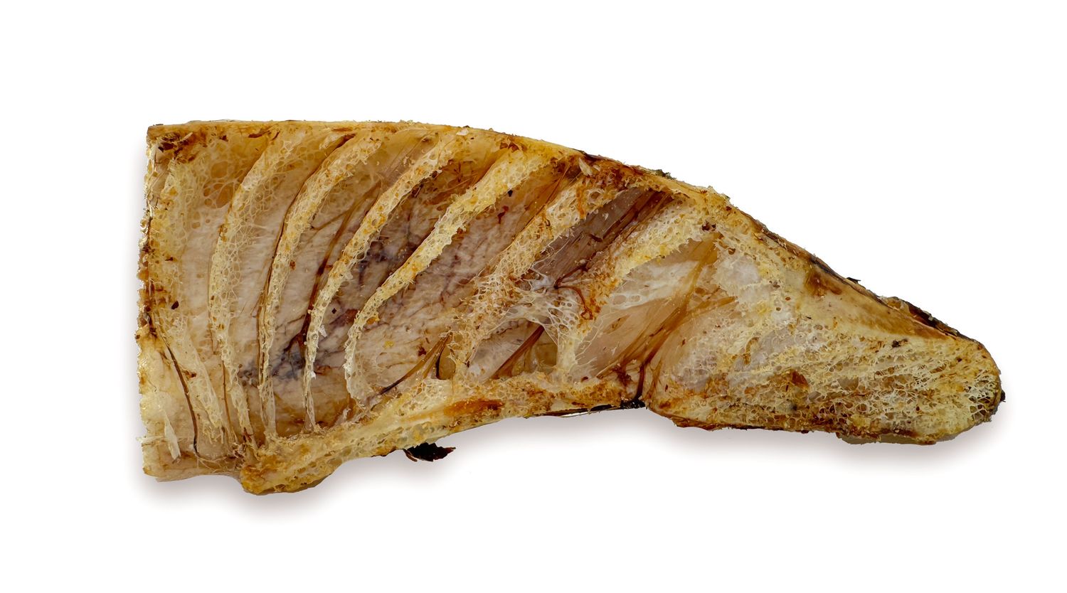 EMU PELVIS