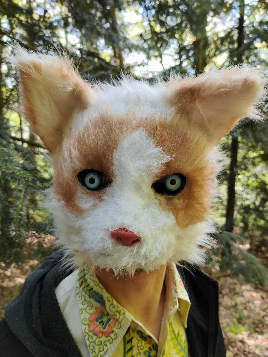 SUMMERTIME - Tana &amp; The Pocket Philharmonic