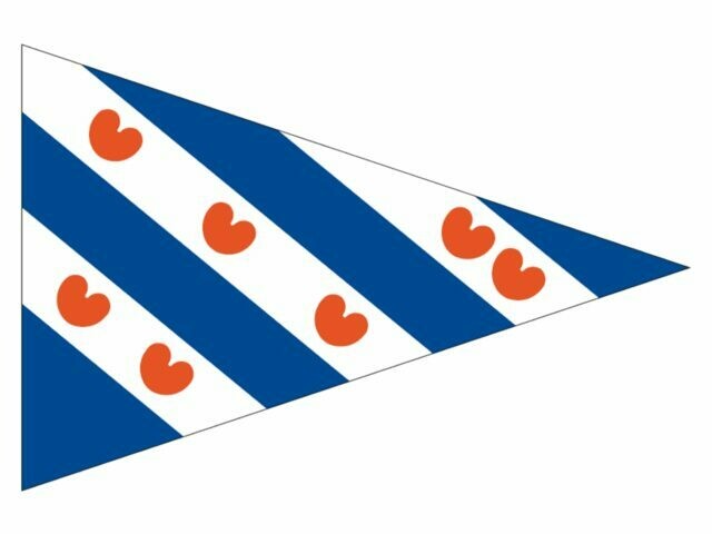Friese Puntvlag 20x30