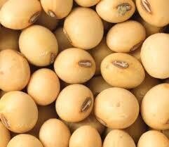 1 bag of Soya beans
