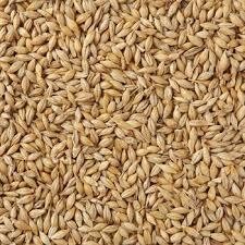 1 Bag of Unprocessed Newly Harvested Nigerian Rice