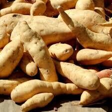 10Kg Sweet Potatoes