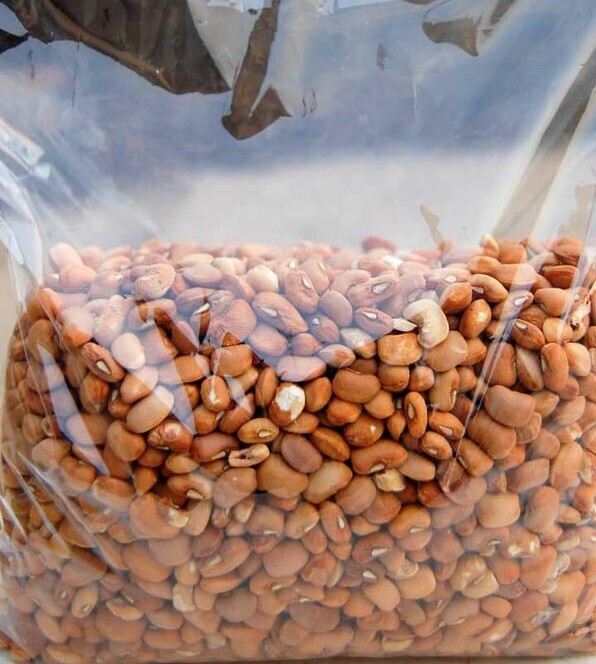 A Module of Handpicked Stoneless Brown Beans