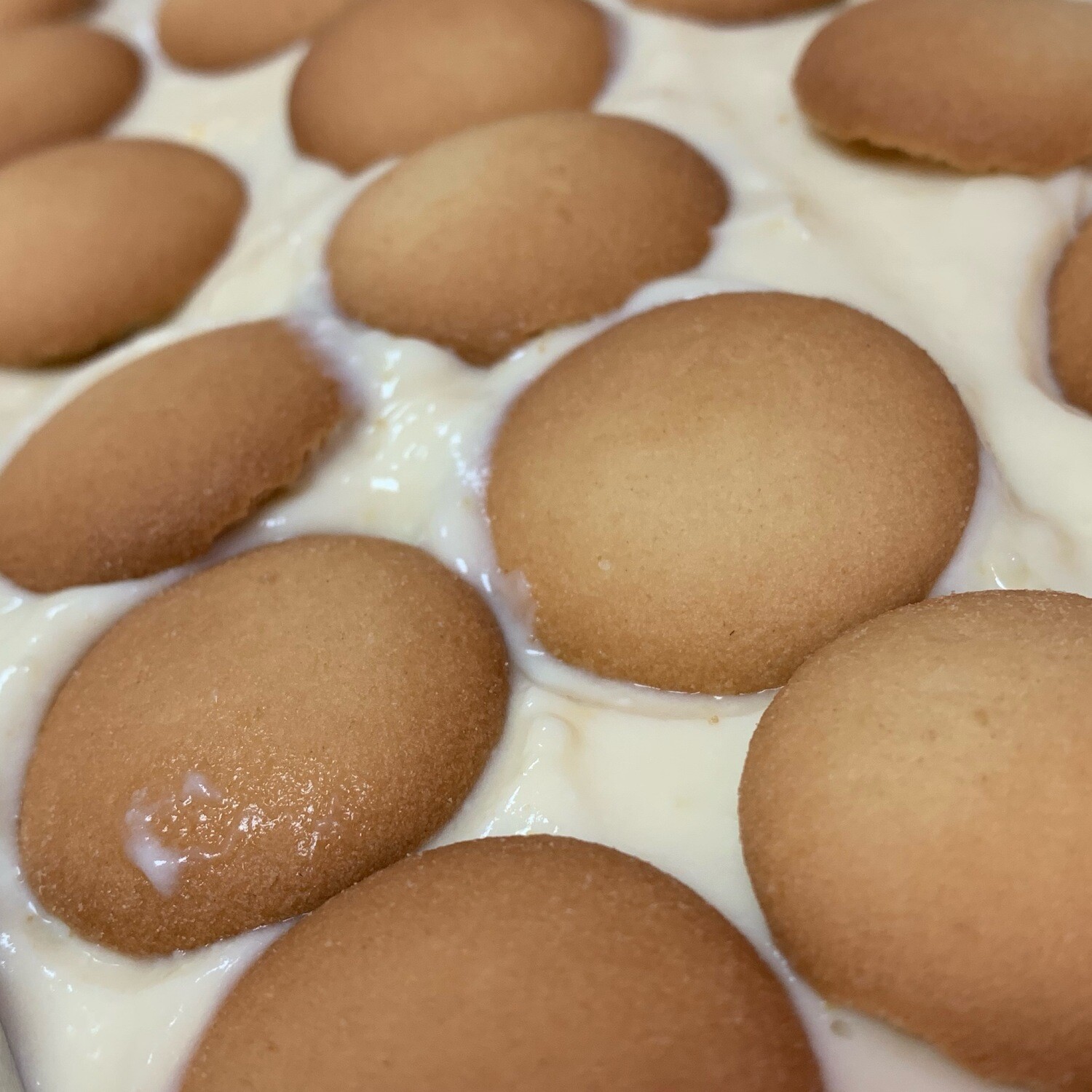 Banana Pudding