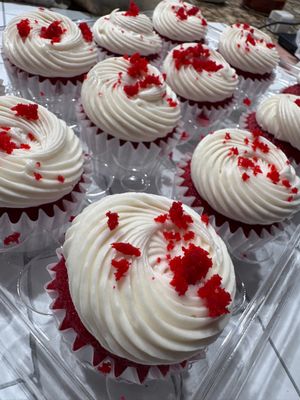 Gourmet large Cupcakes