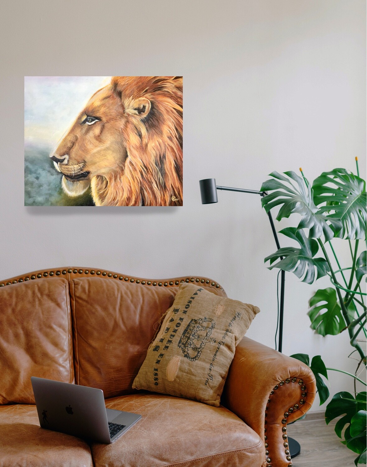 E-commerce Product Image