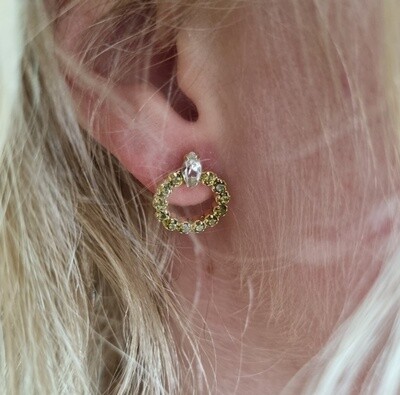 Swarovski Circle earrings